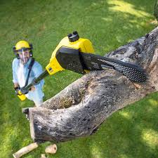 Best Commercial Tree Services  in Genesee, ID
