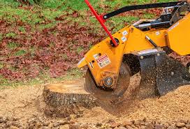 Best Root Management and Removal  in Genesee, ID