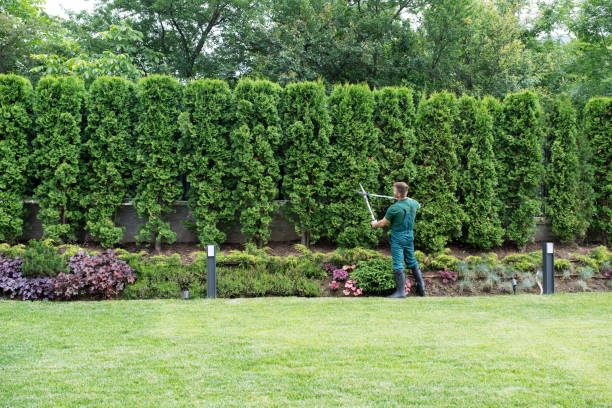 Best Artificial Turf Installation  in Genesee, ID
