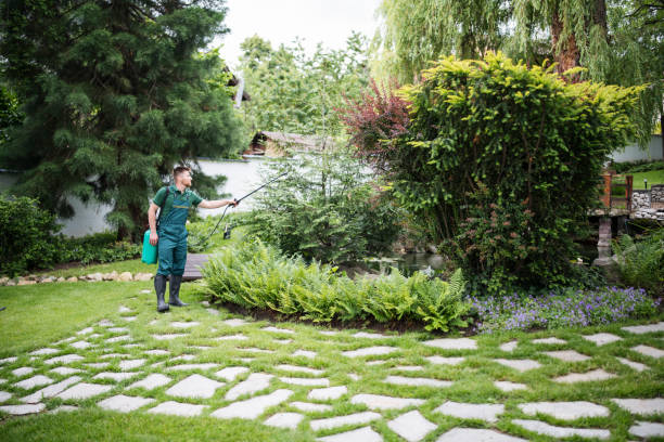 Best Lawn Mowing  in Genesee, ID