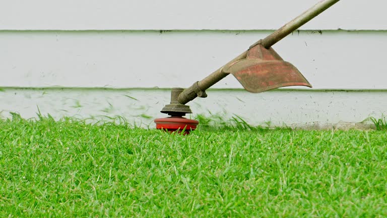 Best Weed Control  in Genesee, ID