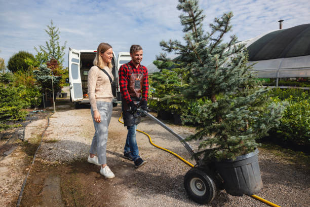 Best Tree Cabling and Bracing  in Genesee, ID