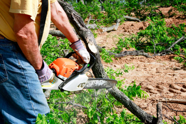 Best Lawn Fertilization  in Genesee, ID